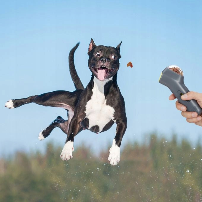 Interaktywna wyrzutnia przysmaków do treningu